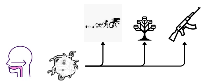 Diagrame de l'arbre d'evolution de la biomasse